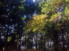 -井冈山风景名胜区-黄洋界
