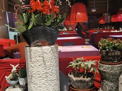 -湘西土菜(望京店)