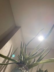 -香秀空间科技抗衰·美容中心