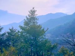 -妙峰山风景名胜区