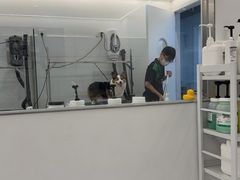 -comecome来吧宠物(奥克斯中心店)