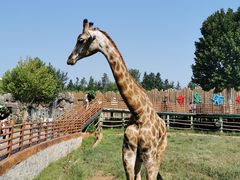 -济南野生动物世界