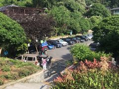 -十八棵（老龙井）御茶园(老龙井店)