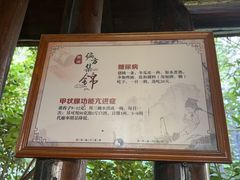 -淹城春秋乐园