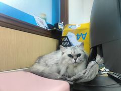 -宠颐生猫科·内科皮肤科(西平世纪城店)