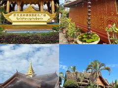 -西双版纳原始森林公园