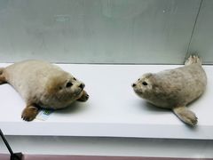 -国家自然博物馆