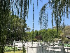 -莲湖公园