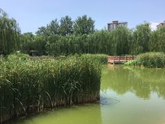-丰台科技园生态主题公园