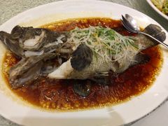-頂好酒家·经典粤菜(海信广场店)