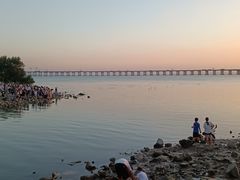 -宝安西湾红树林湿地公园