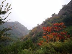 -鸡鸣山旅游风景区