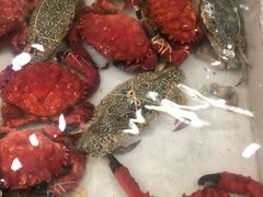 -拉威海鲜市场