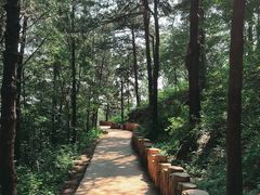 -北京西山国家森林公园