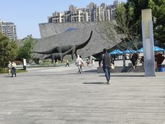 -安徽省地质博物馆