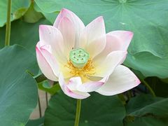 -田园印象·成都土菜院子(华阳店)