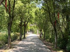 -天台山赤城山景区