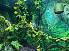 -上海海洋水族馆