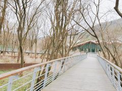 -西湖风景区-江洋畈生态公园