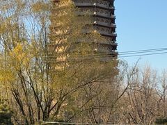 -玲珑塔公园