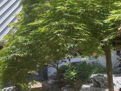 -久宴·天目湖大鱼头(恐龙园店)