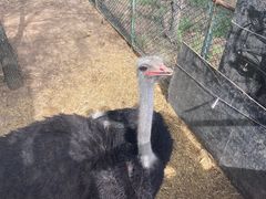 -鄂尔多斯野生动物园