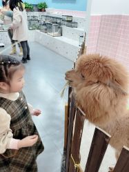 -Moni星球萌宠·小马宝莉·灵蛇·高端高阶全萌宠互动体验俱乐部(红豆国际广场店)