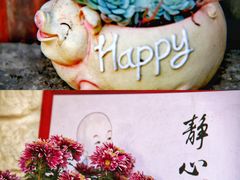 -寂照庵