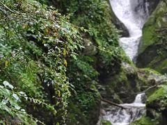 -牛背梁国家森林公园