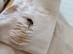 -1点点(嘉兴八佰伴华府店)