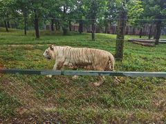 -秦皇岛野生动物园
