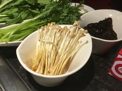 毛肚金针菇-海底捞火锅(上地华联店)