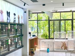 -翊宠yipet猫狗购宠庄园犬舍•猫舍