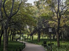 -唐城墙遗址公园