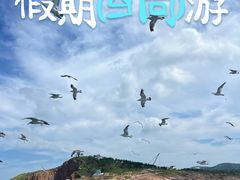 -海驴岛(荣成市)