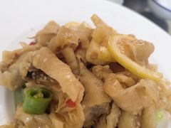 -鸭味飞飞