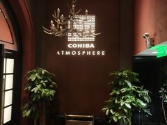 -Cohiba Atmosphere高希霸魅力俱乐部(国贸店)