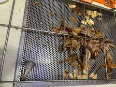 -西夏一品烤全羊(百桥路店)