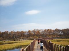 -塞罕坝国家级自然保护区