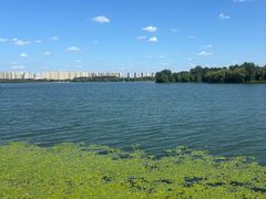 -丁香湖公园