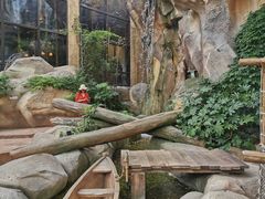 -杭州开元森泊度假乐园