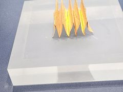 -温州博物馆