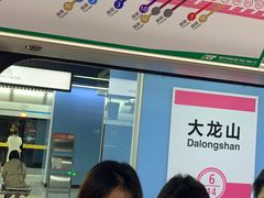 -大龙山(地铁站)