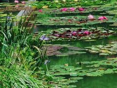 -国家植物园南园