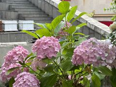 -秀儿家の小确幸花园西餐厅