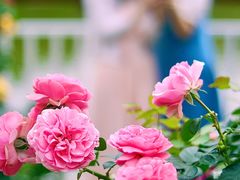 -人民公园(罗湖区)