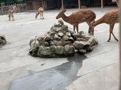 -金沙遗址博物馆