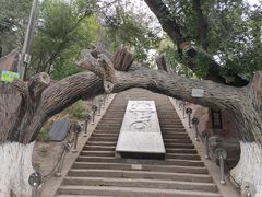 -水磨沟公园