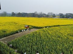 -中国天府农业博览园