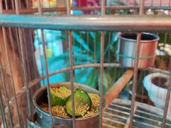 -红色根据地文化主题酒店(太湖街店)